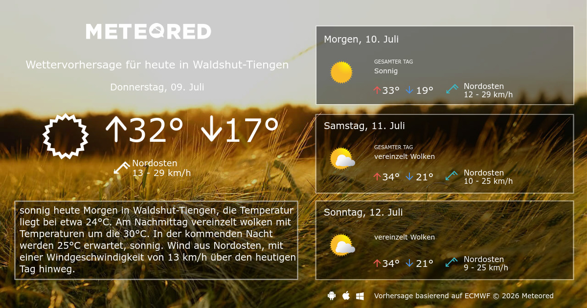 Wetter Waldshut 30 Tage