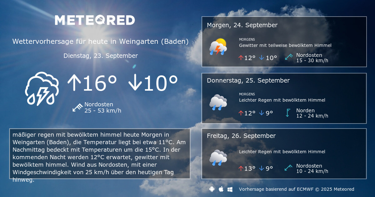 Das Wetter für Weingarten (Baden). 14-Tage Wettervorhersage - daswetter ...